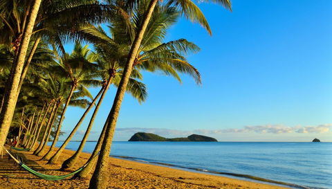 Mango Lagoon Resort & Wellness Spa - Grafton Accommodation 25