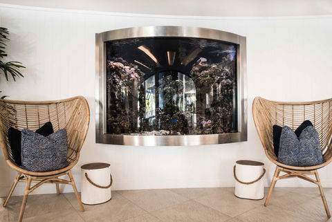 Tingirana Noosa - Grafton Accommodation 29