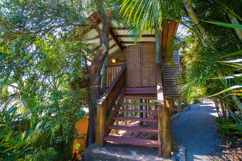 1770 Beach Shacks - Grafton Accommodation 3