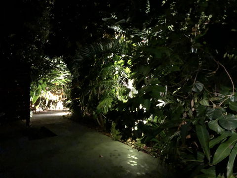 Serenity - Grafton Accommodation 17