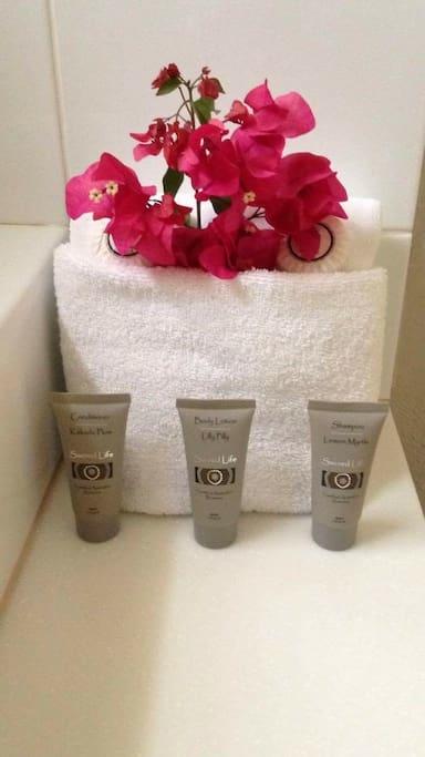 Serenity - Grafton Accommodation 11