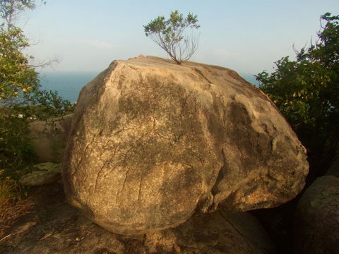 Serenity - Grafton Accommodation 18