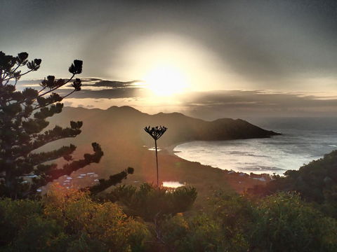 Serenity - Grafton Accommodation 13