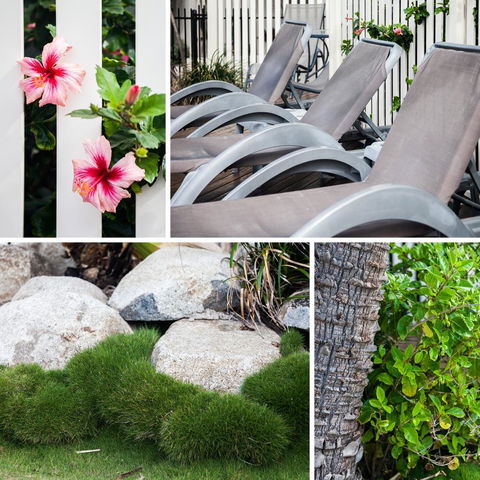 Coolum Caprice - Grafton Accommodation 22