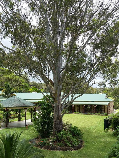 The Bearded Dragon Boutique Hotel - Grafton Accommodation 32