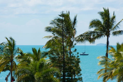 Heart Hotel And Gallery Whitsundays - Grafton Accommodation 13