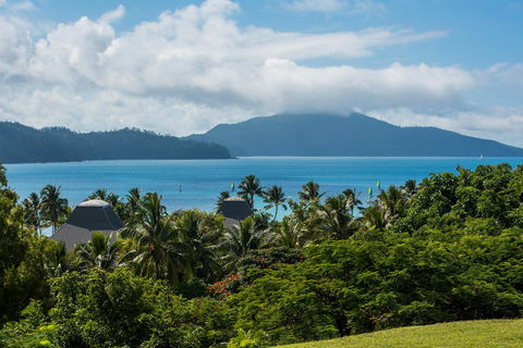 Beach Lodges - Grafton Accommodation 35
