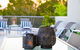 Noosa Tropicana - thumb 3