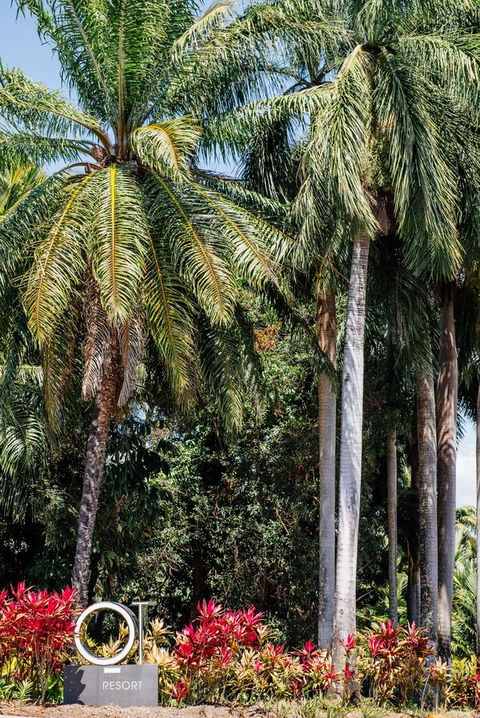 Oaks Port Douglas Resort - Grafton Accommodation 40