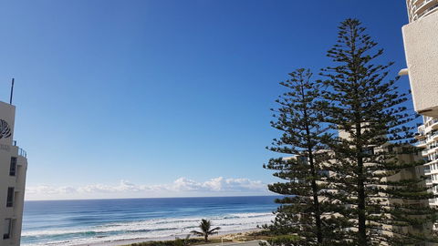 Surfers Chalet - Grafton Accommodation 21