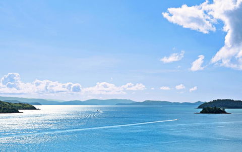 Shorelines - Grafton Accommodation 15