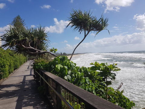 Beach House On Tradewinds Avenue - Grafton Accommodation 13