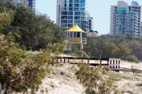 Surfers International Apartments - Grafton Accommodation 4