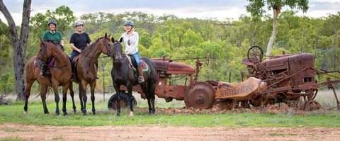 Ironbark House - Grafton Accommodation 8