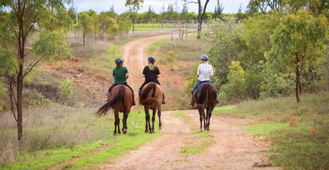 Ironbark House - Grafton Accommodation 22