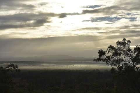 Ironbark House - Grafton Accommodation 5
