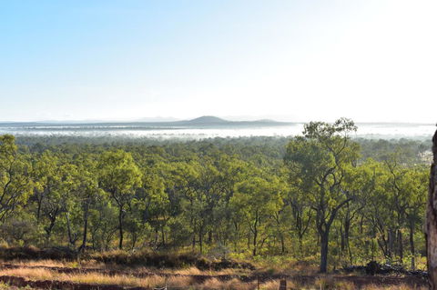 Ironbark House - Grafton Accommodation 16