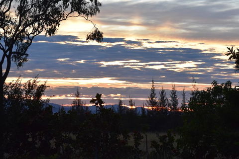 Ironbark House - Grafton Accommodation 40