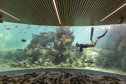 Daydream Island Resort - Grafton Accommodation 28