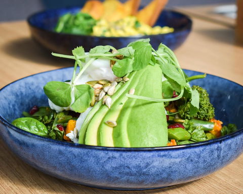 Belise Apartments - Grafton Accommodation 25