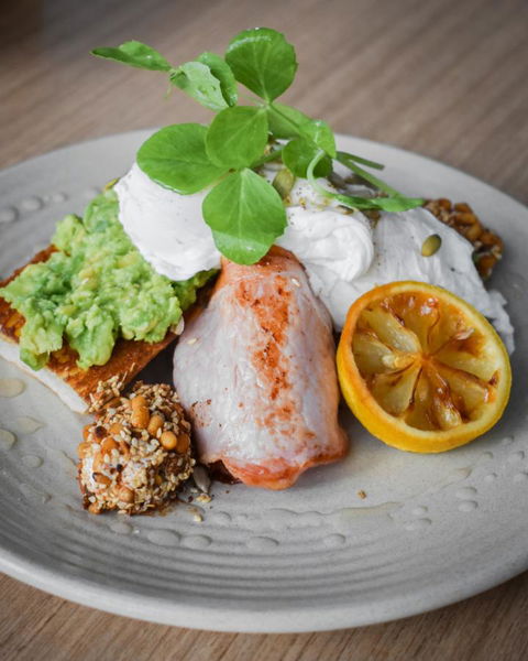 Belise Apartments - Grafton Accommodation 29