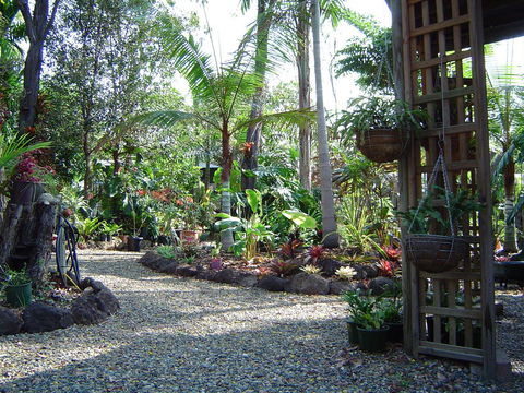 Forest Lodge: Little Villa - Grafton Accommodation 16