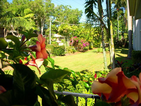 Clifton Sands Holiday Units - Grafton Accommodation 38