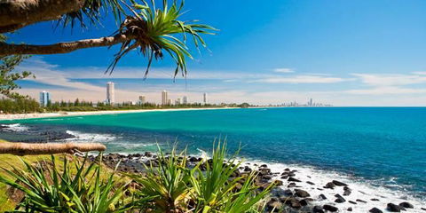 Private Guest Suite High On Currumbin Hill - Grafton Accommodation 23
