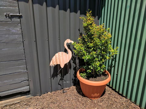 Lilly Pilly House - Grafton Accommodation 10