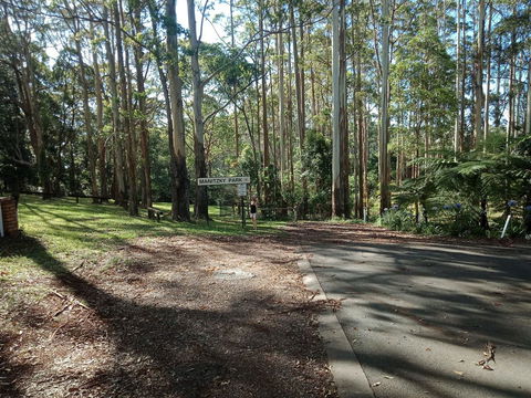 Manitzky Magic -B&B Home With Heart - Grafton Accommodation 28