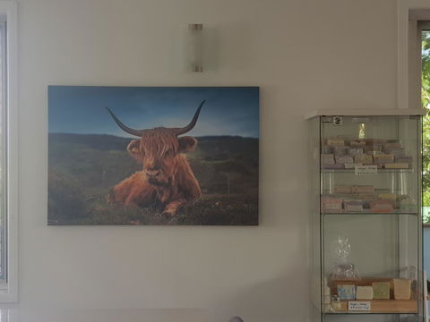 Highland House - Grafton Accommodation 4