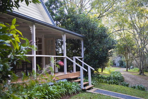 Curtis Falls Cottage - Grafton Accommodation 15