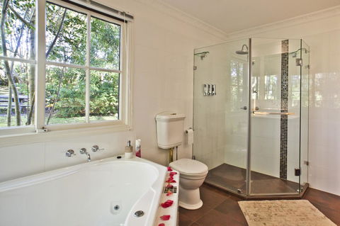Curtis Falls Cottage - Grafton Accommodation 4
