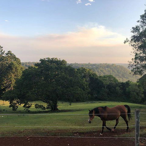 Montville Holiday Apartments - Grafton Accommodation 3