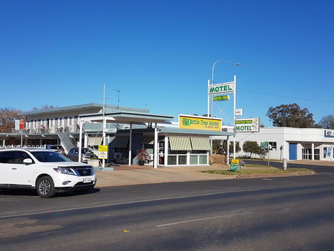 Wattle Tree Motel - Grafton Accommodation 0