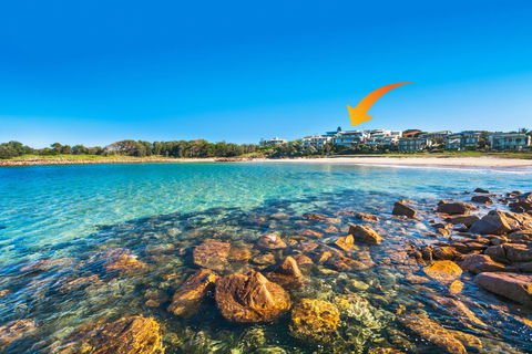 Whale View - Grand Luxurious Beachfront Home - Grafton Accommodation 0