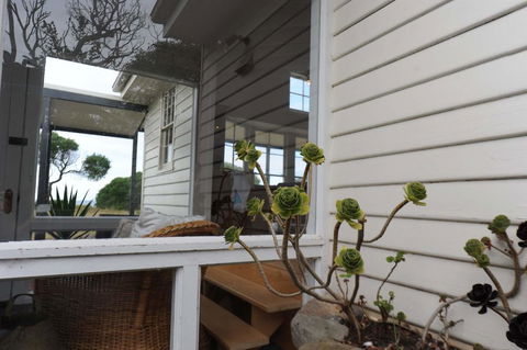 White Shell Cottage - Grafton Accommodation 3