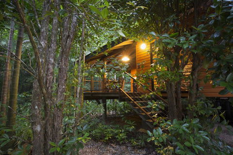 Wildwood - Grafton Accommodation 0
