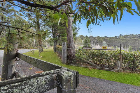 WINDARRI - Grafton Accommodation 0