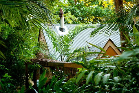 Witches Falls Cottages - Grafton Accommodation 0