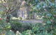 Wondai Hideaway Apartment - thumb 1