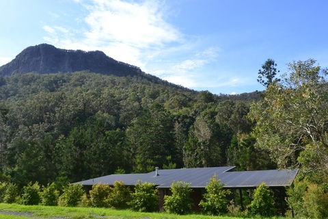 Wongari Eco Retreat - Grafton Accommodation 1