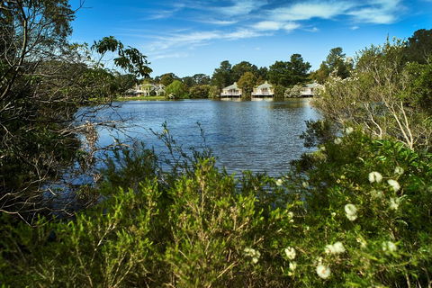 Woodman Estate - Grafton Accommodation 1
