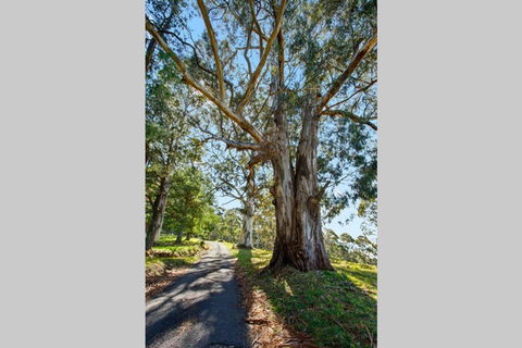 WOOLWAY - Grafton Accommodation 1