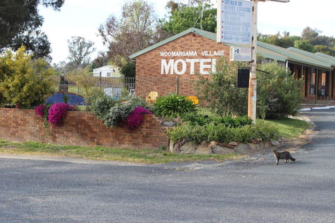 Woomargama Motel - Grafton Accommodation 3