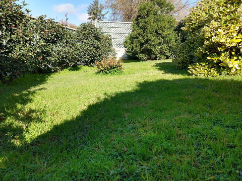 Young Goldrush Motel - Grafton Accommodation 2