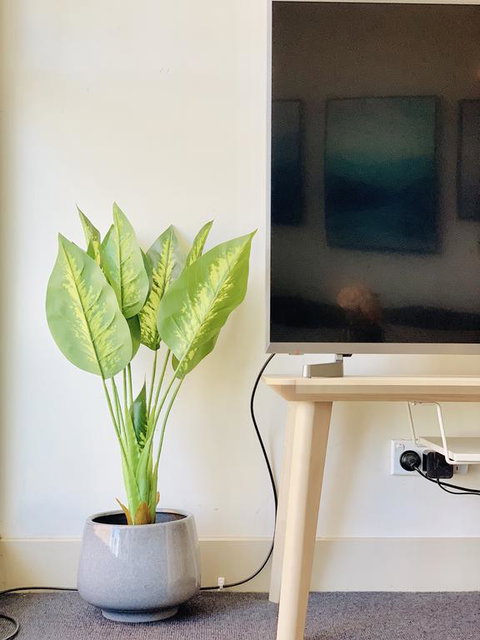 ZEN Homes On Collins - Grafton Accommodation 3