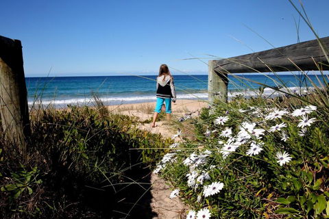 Absolute Beachfront Mollymook - Grafton Accommodation 4