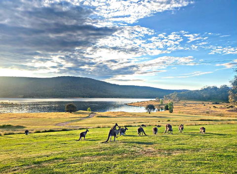 Anglers Reach Lakeside Village - Grafton Accommodation 0