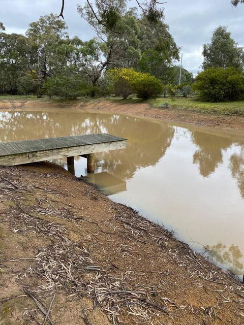 Aurora Cottages - Bellfield - Grafton Accommodation 3